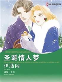 圣诞情人梦（禾林漫画）