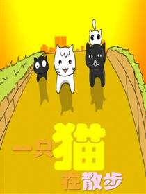 一只猫，在散步
