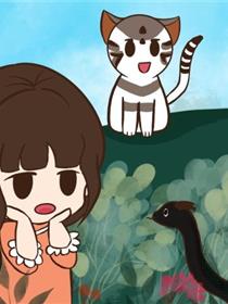 小可日记