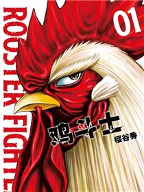鸡斗士