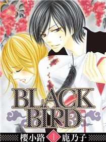 BLACK BIRD~黑鸟恋人-