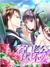名门老公坏坏爱