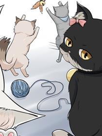 家养猫娘麻花花