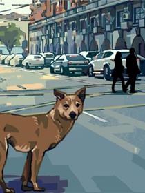 迷犬